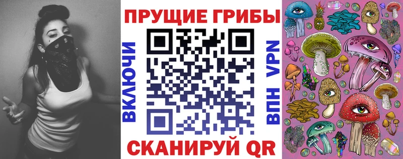как найти закладки ссылка на мегу как зайти Галлюциногенные грибы Psilocybine cubensis сайты даркнета как зайти Питкяранта